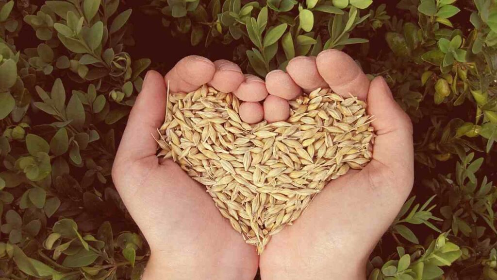 agriculture budget 2024
